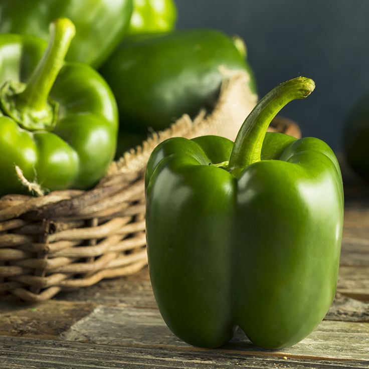 Green Capsicum (سبز شملہ) 15 Seeds