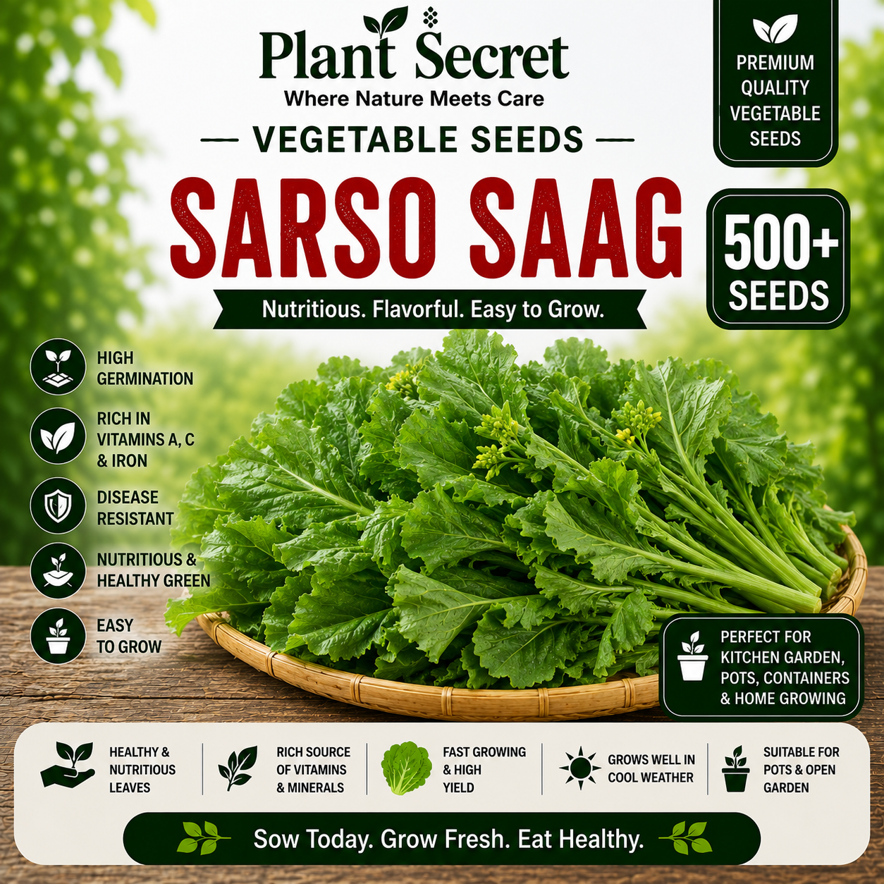 Sarso Saag 500+ Seeds
