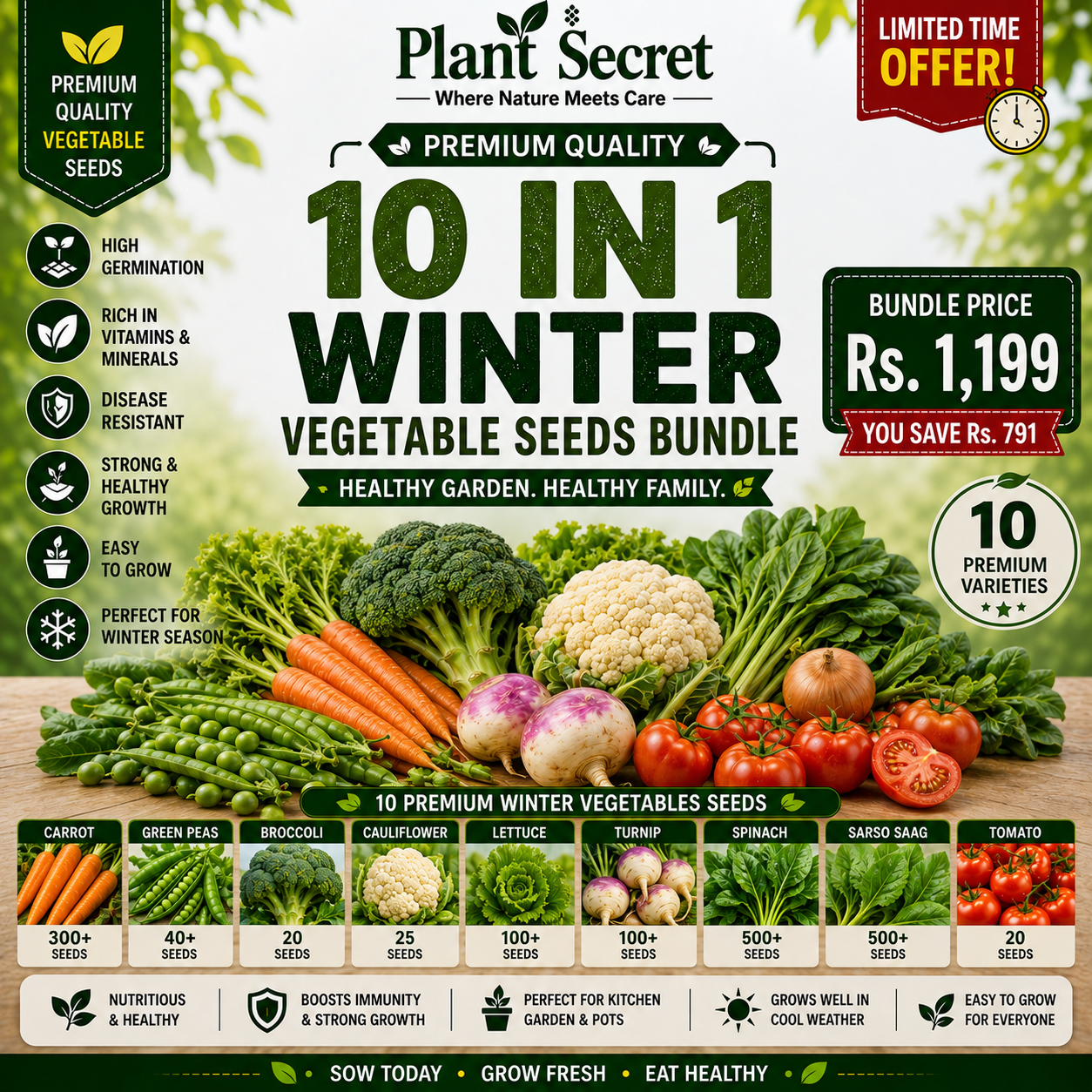 10 Types Winter Vegetables Seeds