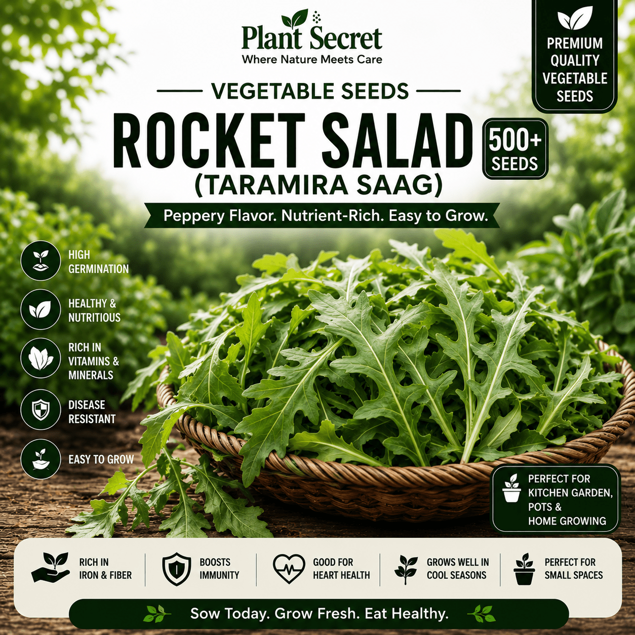 Rocket Salad (Taramira Saag) 500+ Seeds