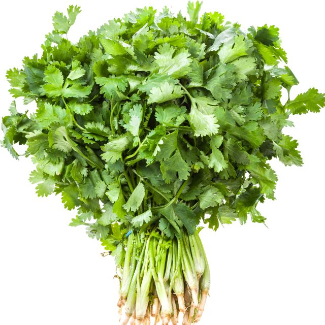 F1 Hybrid coriander (دھنیہ) 300+ Seeds