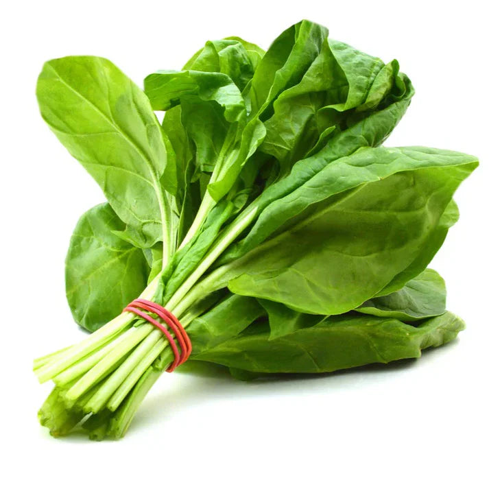 F1 Hybrid Spinach (پالک) 300+ Seeds