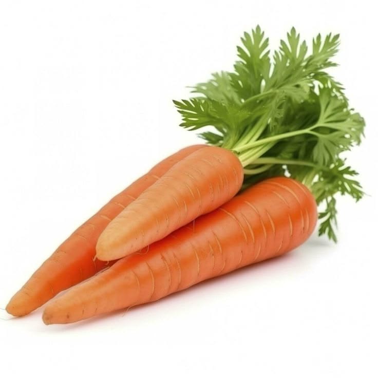 Carrot (Gajar) 300+ Seeds