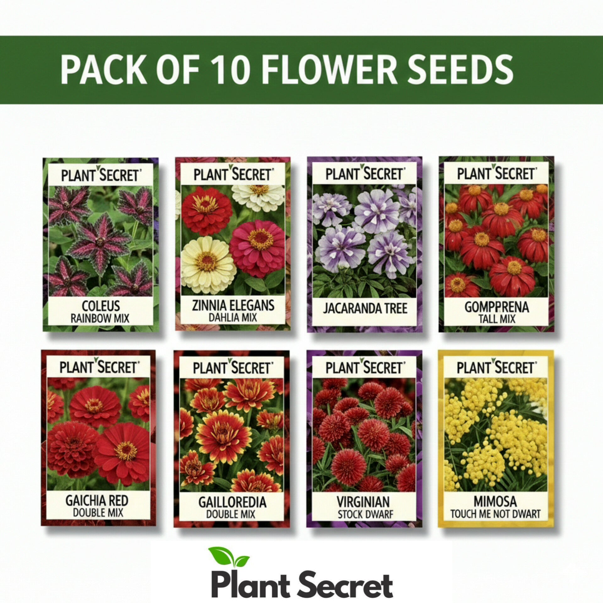 Pack of 10 Flower Seeds (Jumbo Packets) – Plant Secret
