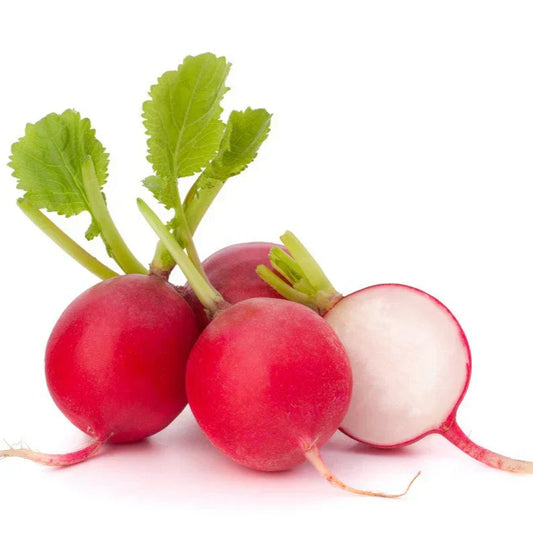 Red Radish (لال مولی) 200+ Seeds