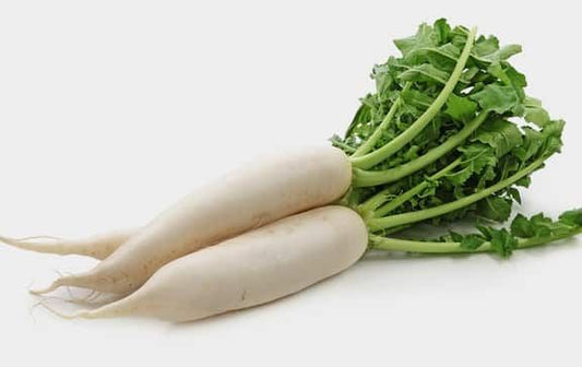 White Radish (سفید مولی) 100+ Seeds
