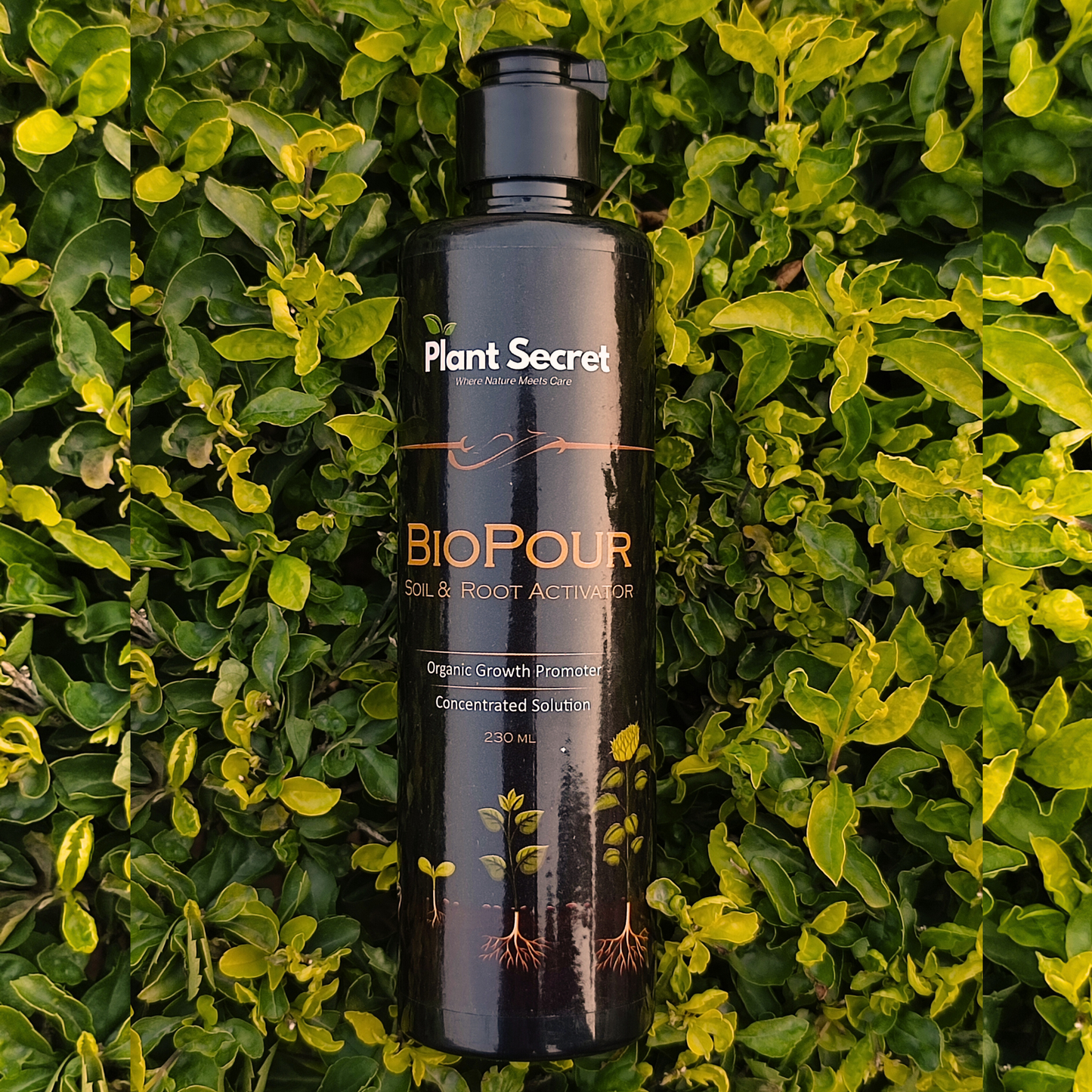 BioPour Soil & Root activator Water Soluble Liquid