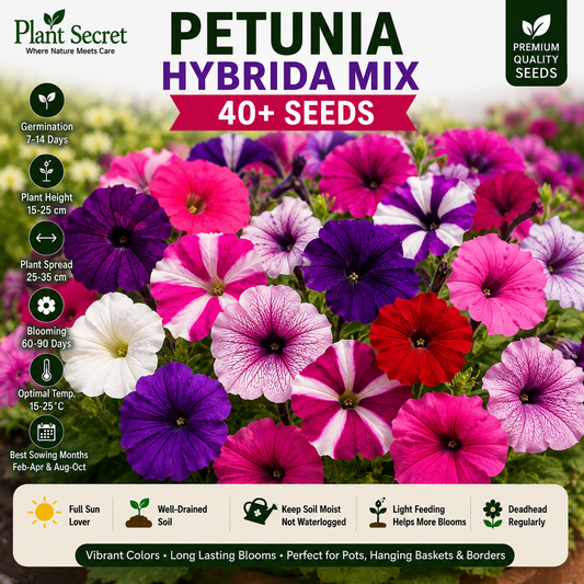 Petunia Hybirda Mix 40+ Seeds