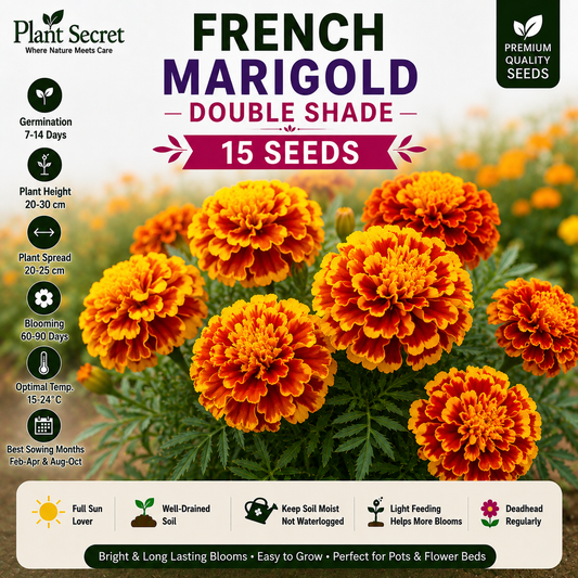 French Marigold Double Shade 15 Seeds