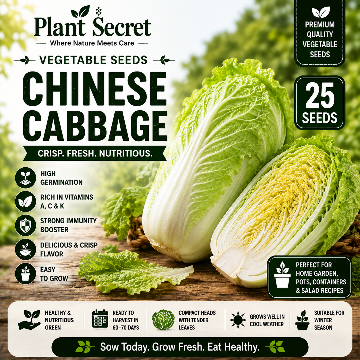 Chinese Cabbage 25 Seeds