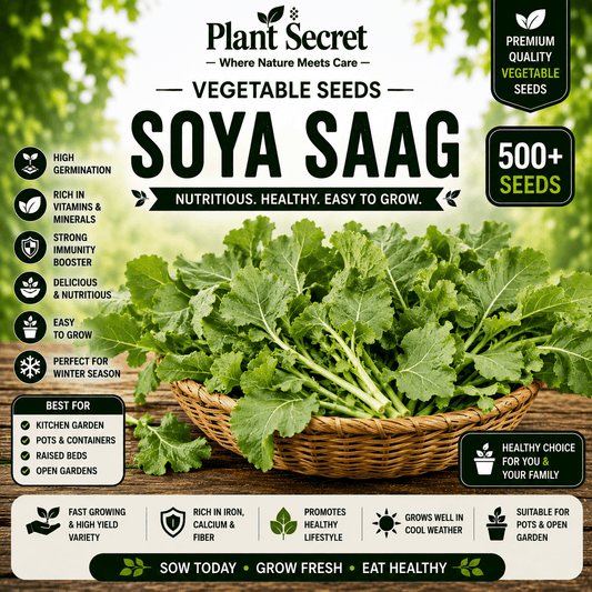 Soya Saag 500+ Seeds