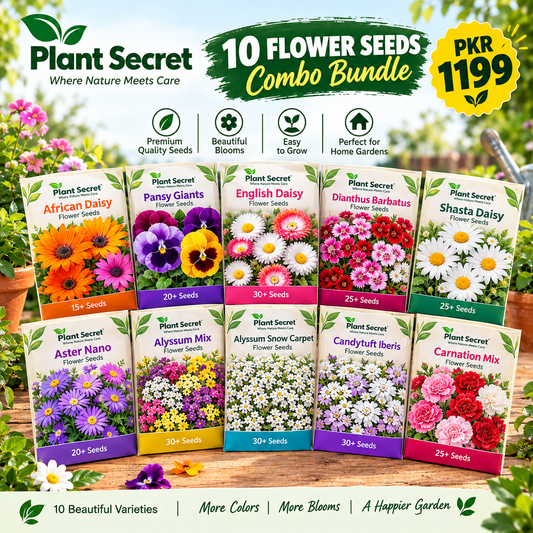 10 Flower Seeds Combo Bundle