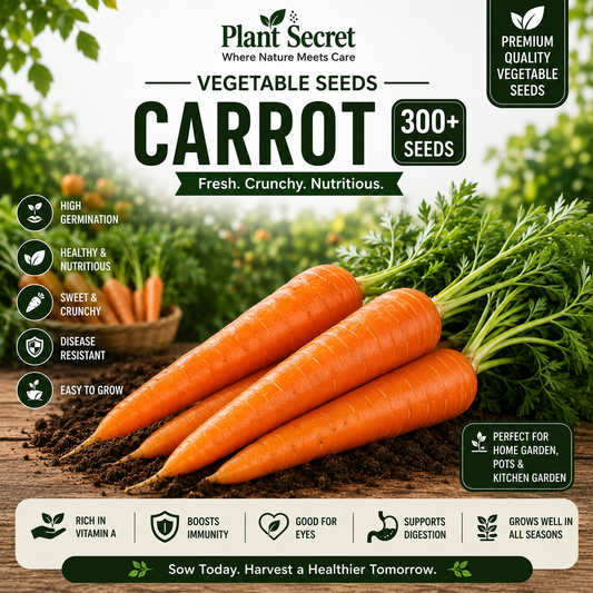 Carrot (Gajar) 300+ Seeds