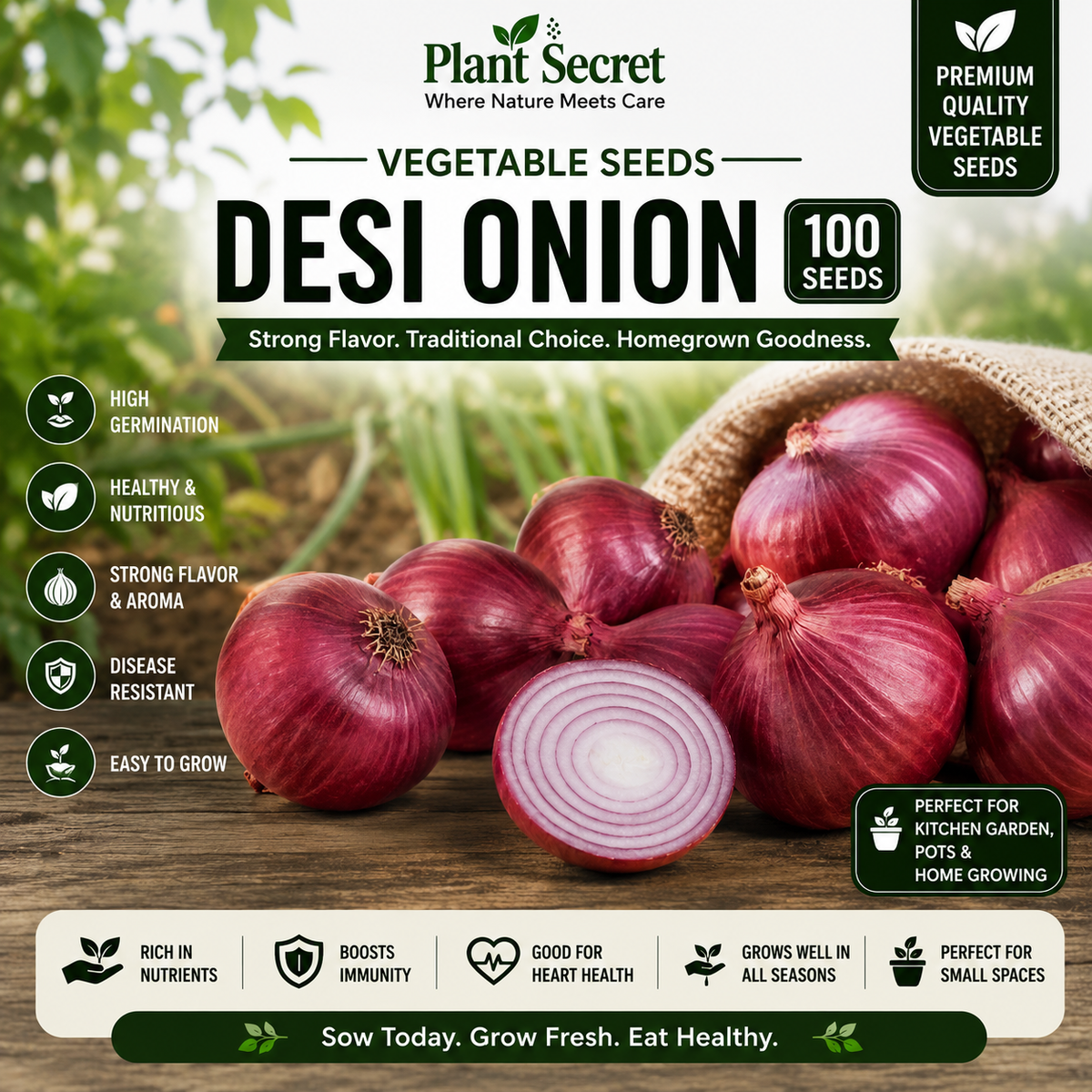 Desi Onion Seeds 100 seeds