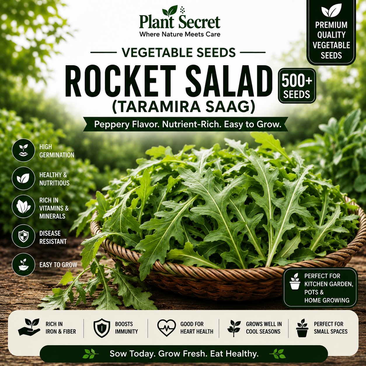 Rocket Salad (Taramira Saag) 500+ Seeds