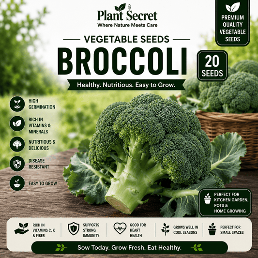 Broccoli (بروکلی) 20 Seeds
