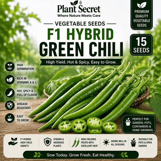 F1 Hybrid Green Chili (سبز مرچ) 15+ Seeds