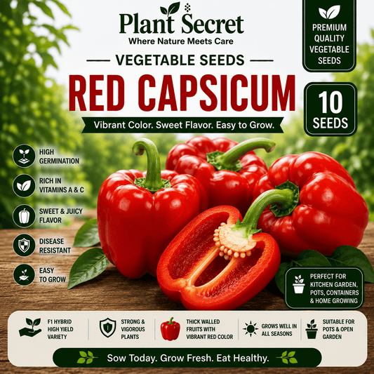 Red Capsicum (لال شملہ) 10 Seeds