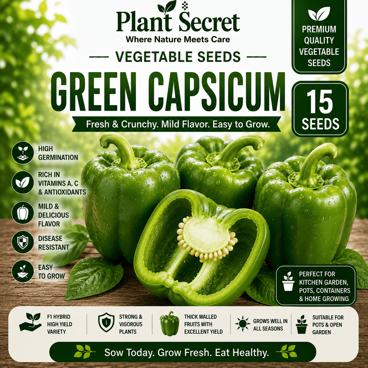 Green Capsicum (سبز شملہ) 15 Seeds
