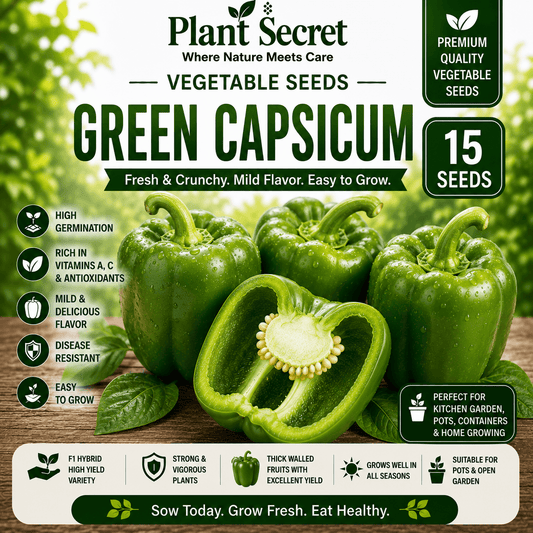 Green Capsicum (سبز شملہ) 15 Seeds