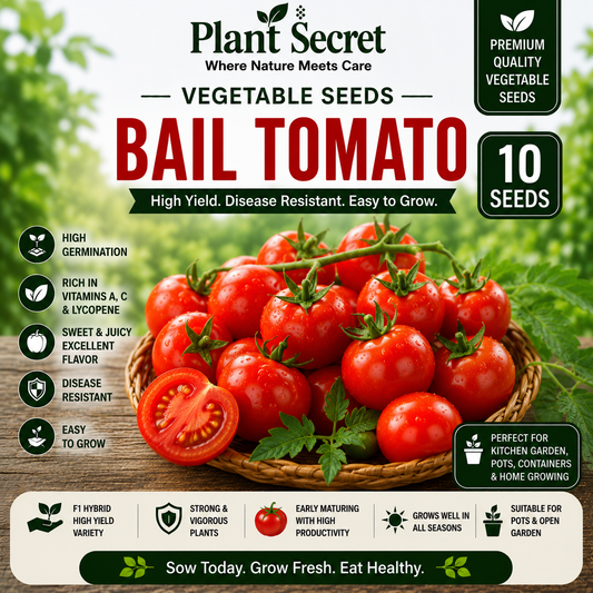 Bail Tomato (بیل ٹماٹر) 10 Seeds