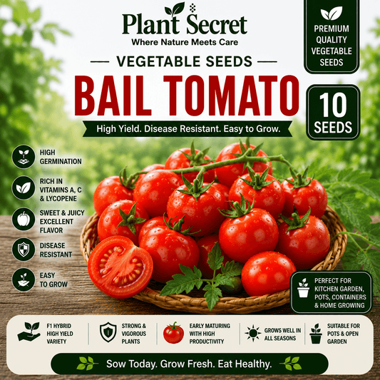 Bail Tomato (بیل ٹماٹر) 10 Seeds