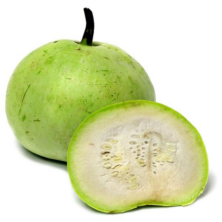 F1 Hybrid Round Gourd (گھیا کدو) 7 Seeds
