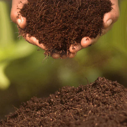 Premium Organic Coco Peat for Gardening (800 Grams)