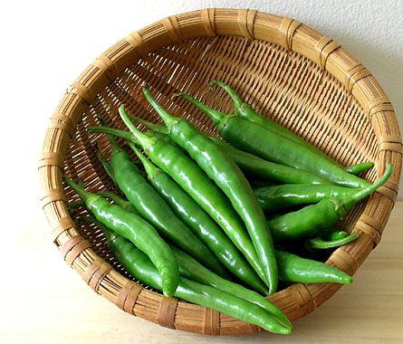 F1 Hybrid Green Chili (سبز مرچ) 15+ Seeds