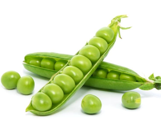 Green Peas (Mattar) 40+ Seeds