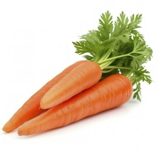 Carrot (Gajar) 300+ Seeds